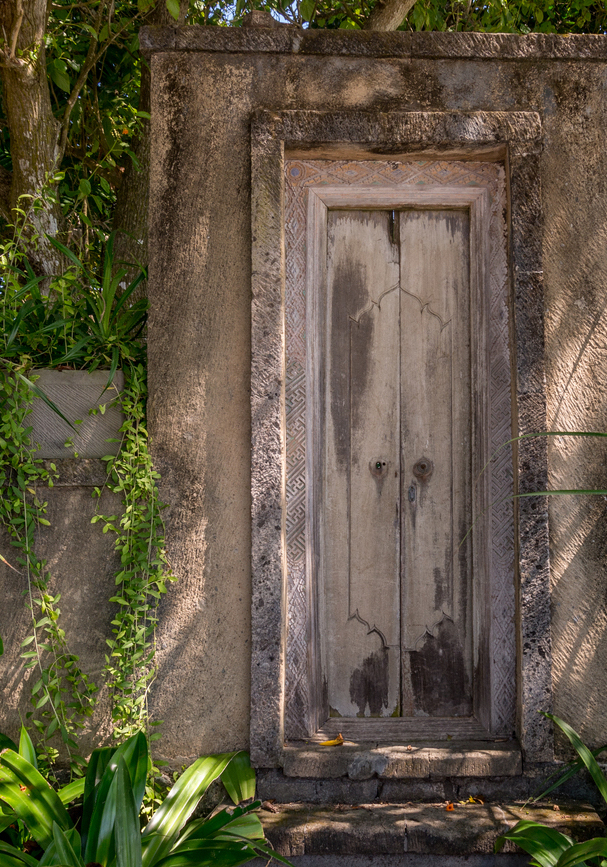 The Secret Door by Lee Warren